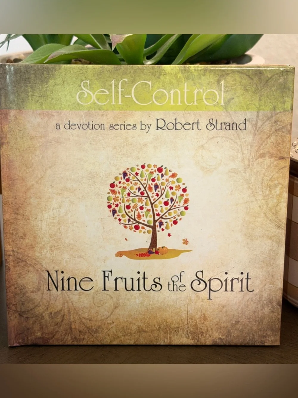 Set of 9 New Fruits Of The Spirit Books